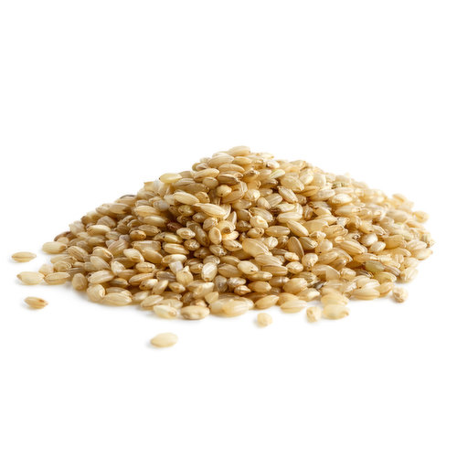 Rice - Brown Short Grain Organic