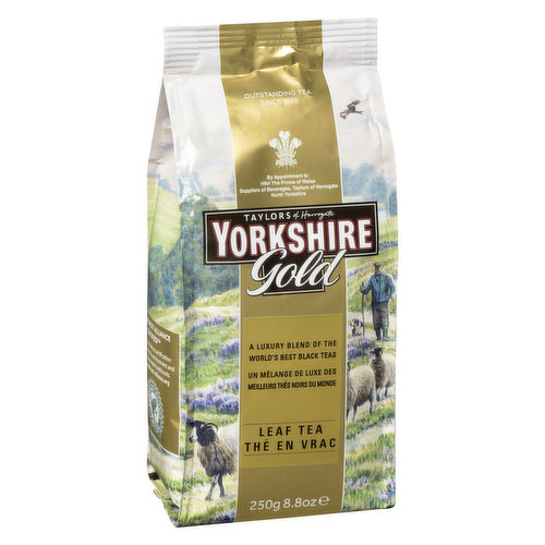 Taylors of Harrogate Yorkshire Gold 40 Tea Bags Specialty Online Shop –  Gourmet Grocery OurChoice for Food & Gifts