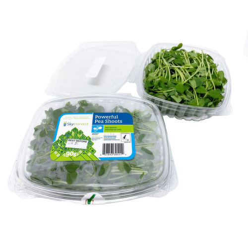 Sky Harvest - Sprouts Pea Shoots Organic