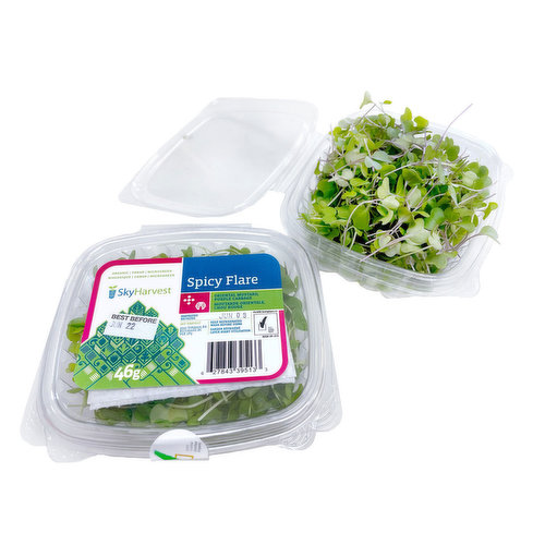 Sky Harvest - Microgreens Spicy Flare Organic