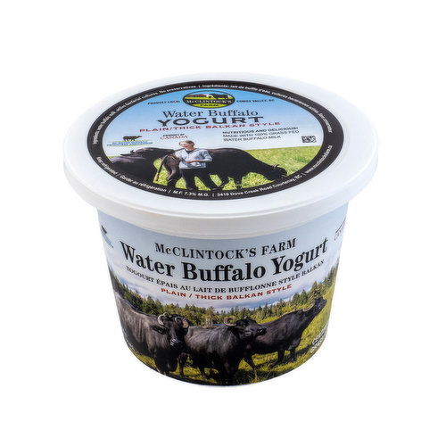 McClintock's Farm - Water Buffalo Yogurt Plain