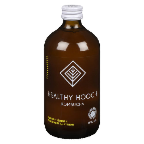 Healthy Hooch - Kombucha, Lemon Ginger Organic