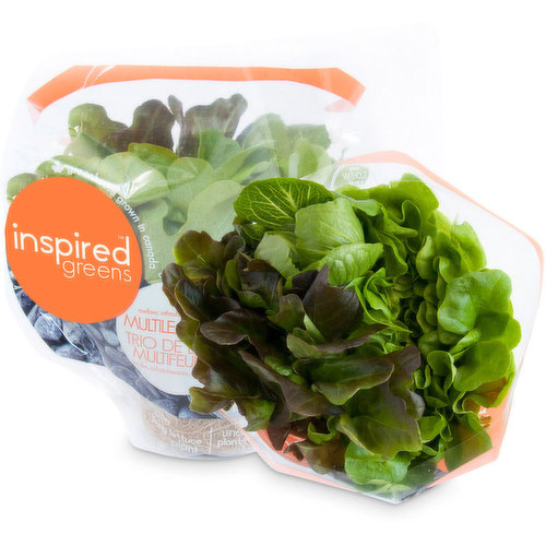 Inspired Greens - Living Lettuce, Red Batavia