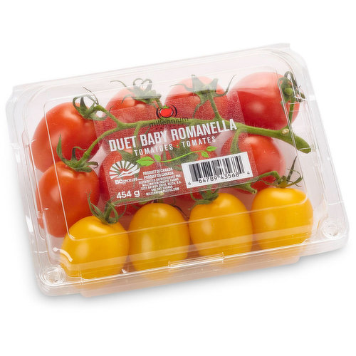 This duo small egg-shaped multi colored tomato is not only unique in color but in taste as well. Its low acidity & high brix level make it an excellent choice for grilling, salsa & garnish.