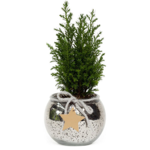 Horty Girl - Silver Small Glass w/ Tree 4.5In