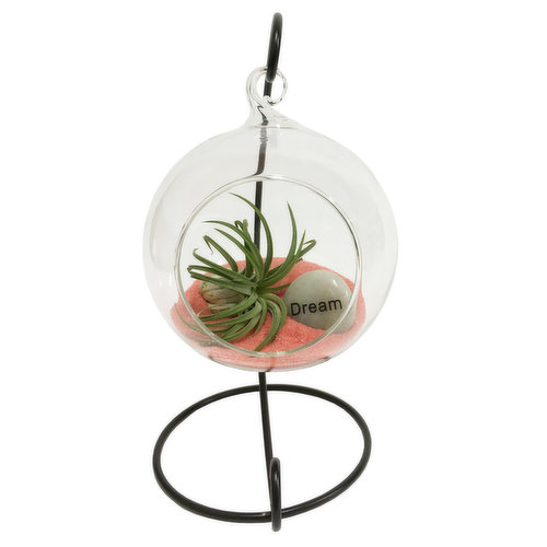 Terrarium - Glass Globe with Sand