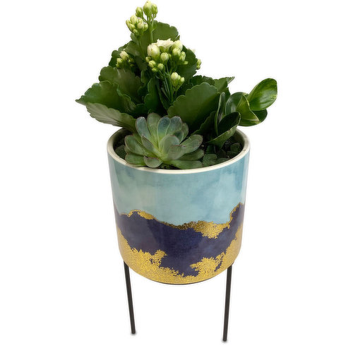 Horty Girl - Agate Glazed Ceramic Planter On Stand With Tropical Garden - 6in