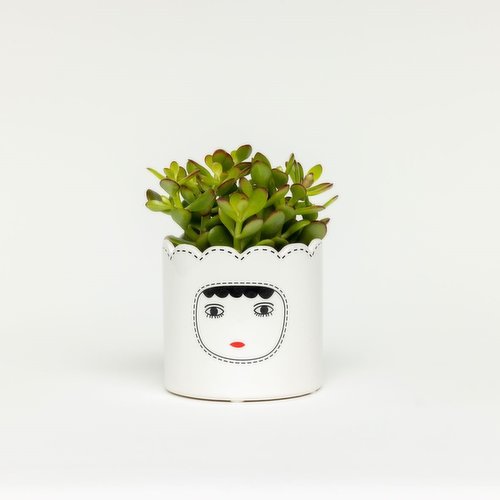 Horty Girl - Ceramic Face pot w/ Astd Plants 5In