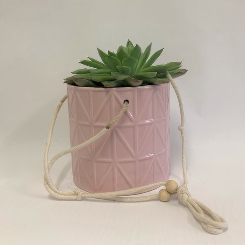Horty Girl - Hanging Ceramic with Assorted Succulent 4.5 Inch