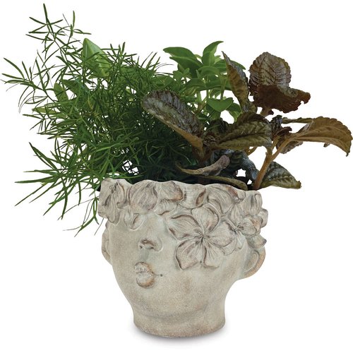 Horty Girl - Tropical in Cement Kissing Face Planter