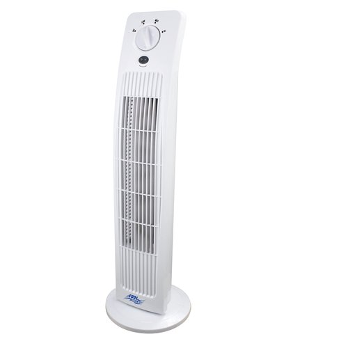 Cool down in the summer with this fan! It oscillates to help cool the whole room. Has 4 settings: off, low, med & high.