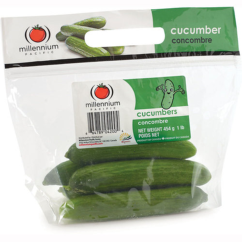 Mini Cucumbers - 16oz Bag - Good & Gather™ (Packaging May Vary)