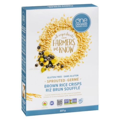 One Degree Organic - Sprouted Brown Rice Crisps