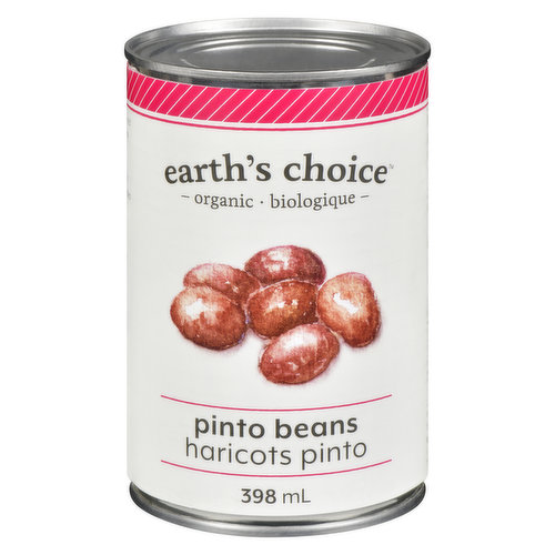 Earths Choice - Beans Pinto Organic