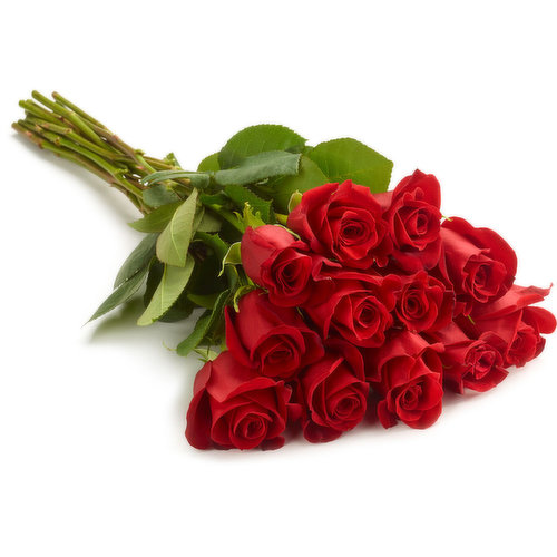 Roses - Premium Bouquet, 50cm, Dozen