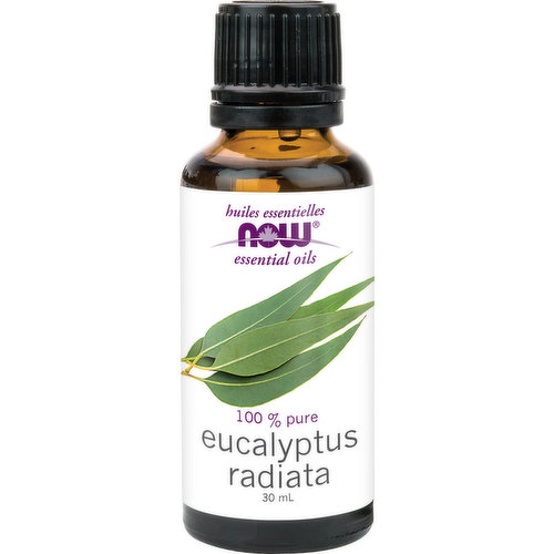 NOW - Essential Oil Eucalyptus Radiata