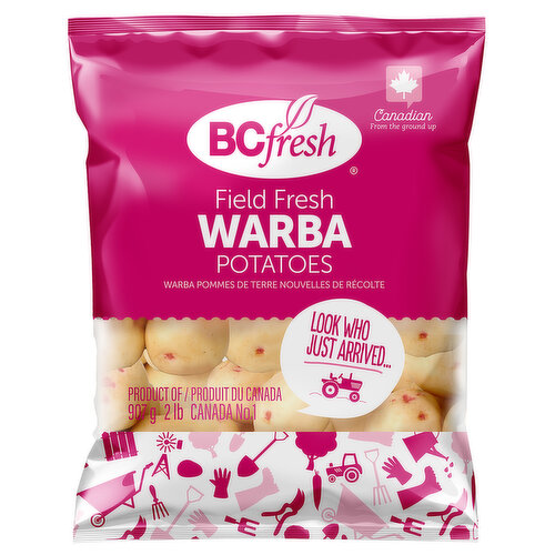 BC Fresh - Warba Nugget Potatoes