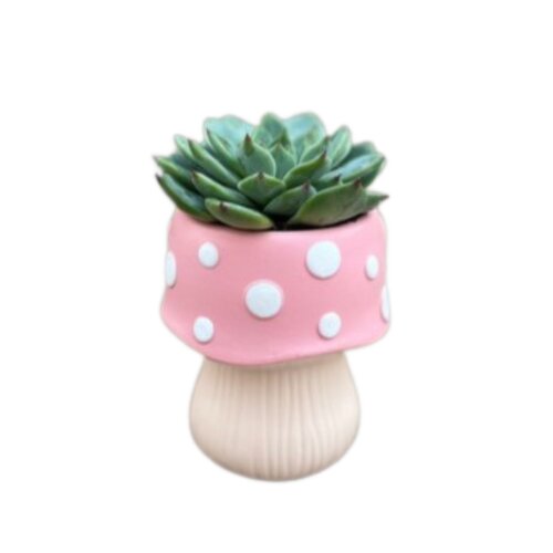 Potted Plant - Pink Toadstool with Succulent, 2 inch
