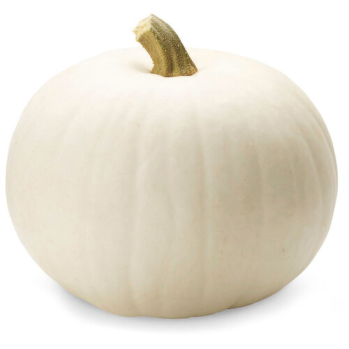 Pumpkin - Snowbaby White Squash