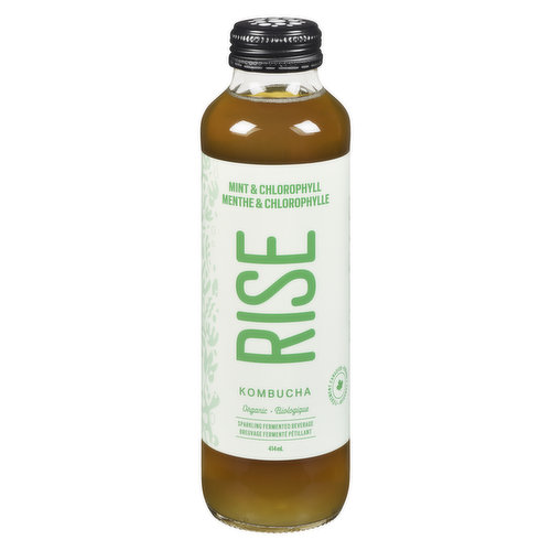 Rise - Kombucha Mint Chlorophyll