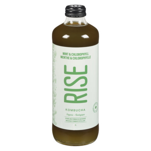 Rise - Mint & Chlorophyll Kombucha