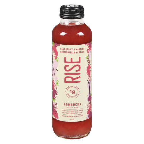 Rise - Kombucha Raspberry & Vanilla