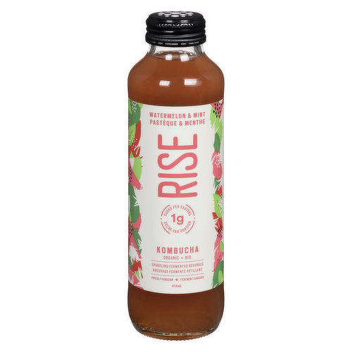 Rise - Watermelon & Mint Kombucha Organic