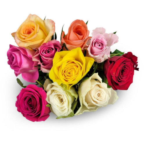 African Roses - Bunch, Assorted