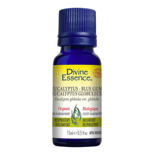 Divine Essence - Essential Oil Eucalyptus Blue Gum