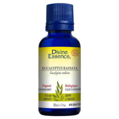 Divine Essence - Essential Oil Eucalyptus