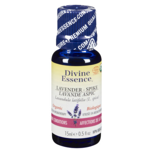 Divine Essence - Essential Oil Lavender Spike