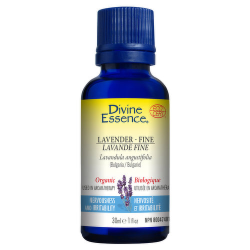 Divine Essence - Essential Oil Lavender Fine