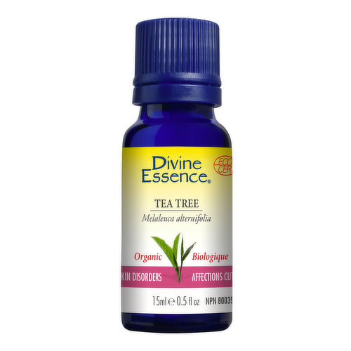 Divine Essence - Essential Oil Tea Tree