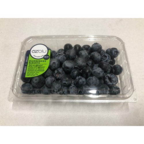 Rainier Organic Jumbo Blueberries