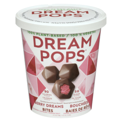 Dream Pops - Plant Based Frozen Dessert - Berry Dreams