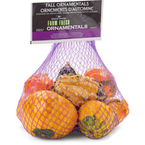 Farm Fresh - Gourds, Fall Ornamentals