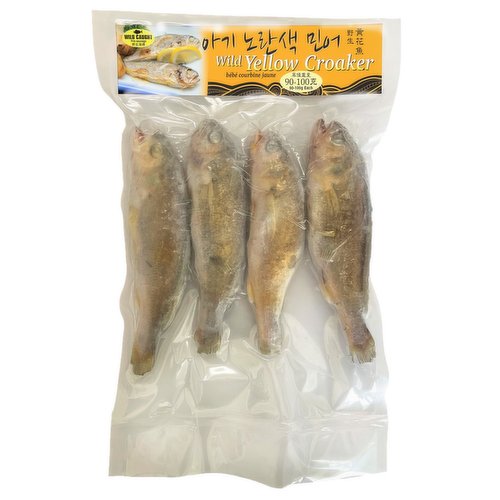 Frozen - Baby Yellow Croaker