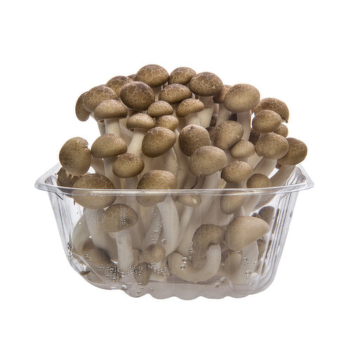 Mushrooms - Shimeji Brown Organic Package