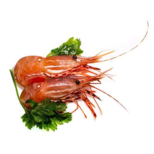 Fresh - Spot Prawns