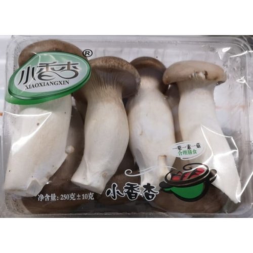 Fresh - King Trumpet Mushroom