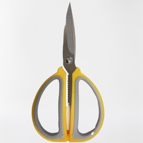 Clever Son Wife - Scissors