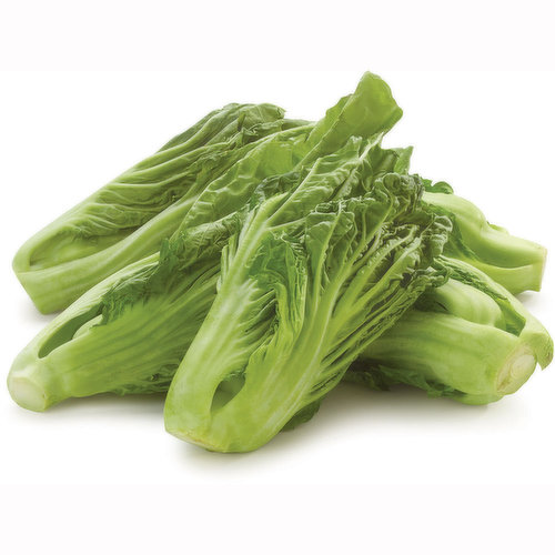 Loose-Heading Chinese Cabbage. The Flavor of Gai Choy is True to the Mustard Family. Its Pungent, Peppery and Reminiscent of Wasabi Mustard with a More Robust Depth when Cooked.