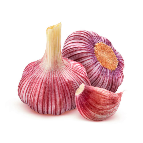 Garlic - Red Russian