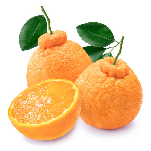 Fresh Sumo Citrus