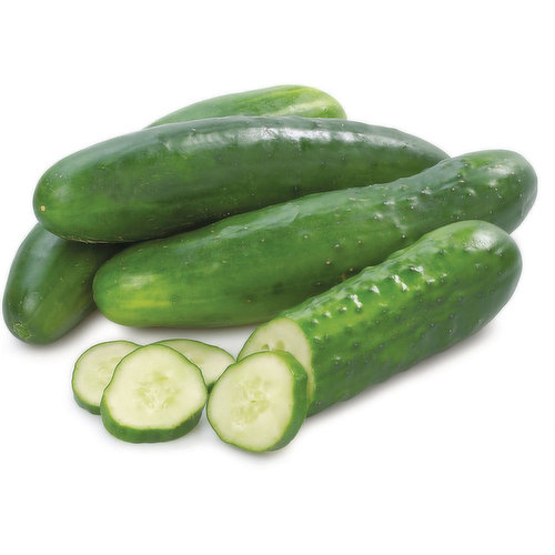 Cucumber - Field, Fresh