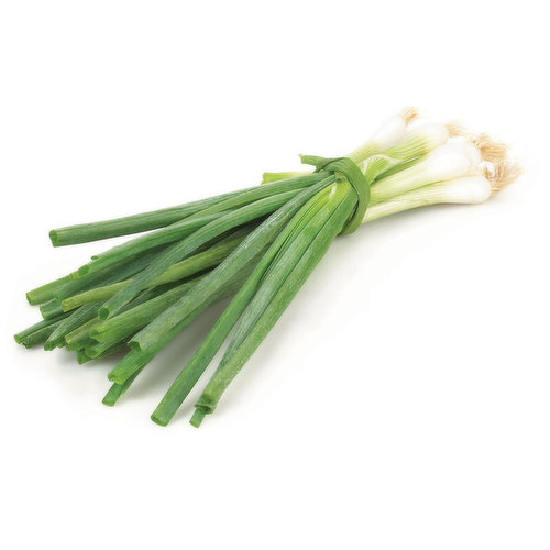 Also known as Spring Onions or Scallions. A Younger or Small Bulb Taste to a Mild Garlic. Older and Bigger Bulbs Taste more of a Typical White or Yellow Onions.