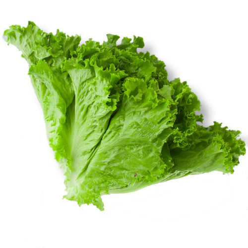 Lettuce - Green Leaf, Fresh