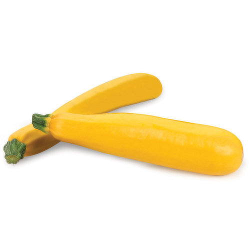 Yellow Zucchini - Squash
