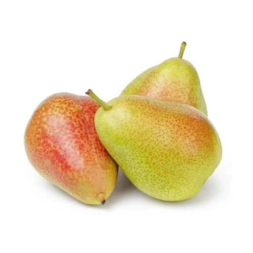 Pear - Honey Belle