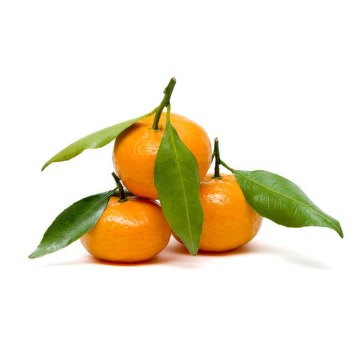 Oranges - Mandarin Stem N Leaf
